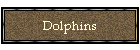 Dolphins